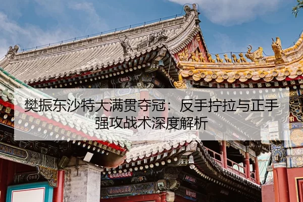 樊振东沙特大满贯夺冠：反手拧拉与正手强攻战术深度解析